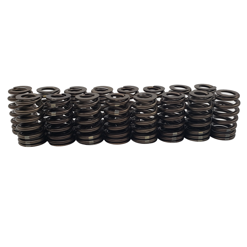 LS6 Valve Springs