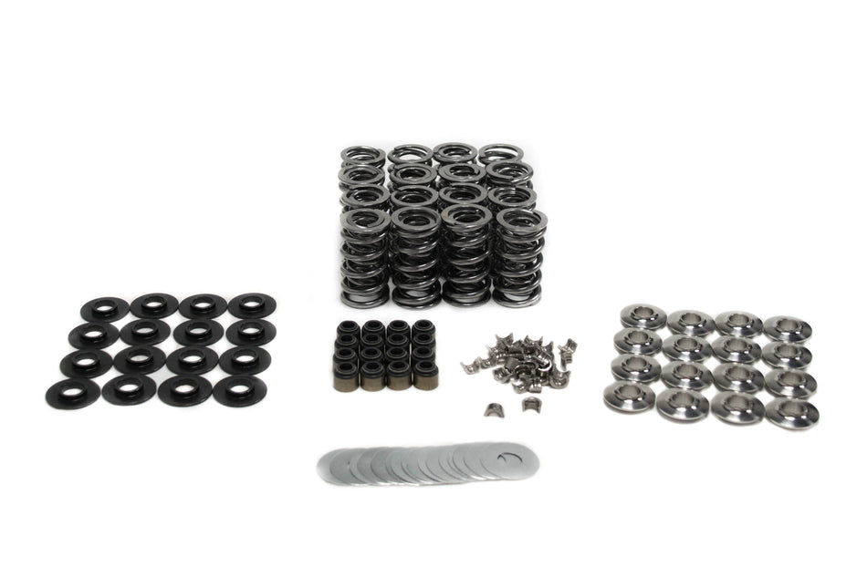 BTR GEN V LT1 PLATINUM DUAL SPRING KIT - .660" LIFT - SK007