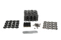 BTR GEN V LT1 PLATINUM DUAL SPRING KIT - .660